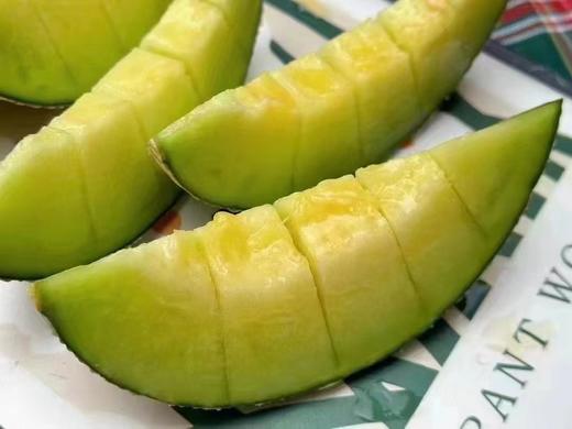 静冈网纹瓜（单果3-3.3斤） 商品图1