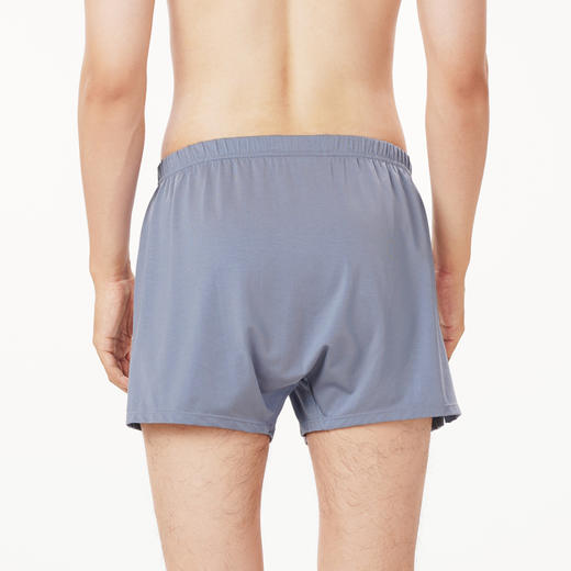 都市丽人都市锋尚简约基础内裤男40S棉粘男士内裤平角内裤FK48A1 商品图3