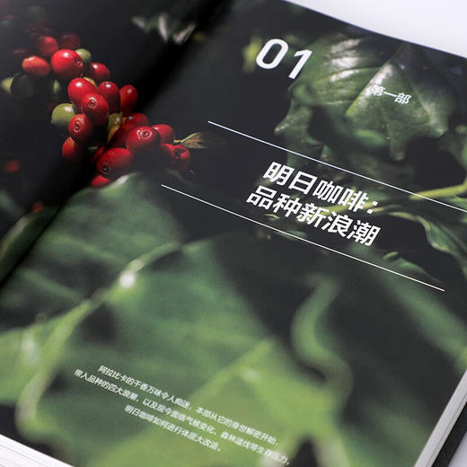 第四波精品咖啡学 咖啡爱好者与时俱进的充电宝典 韩怀宗 著 商品图6
