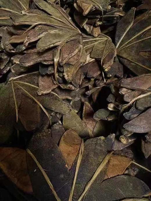 26年化橘红 商品图3