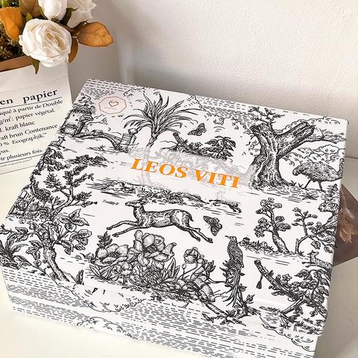 LEOS VITI简约包包｜轻熟有气质，百搭且显贵【G】 商品图4