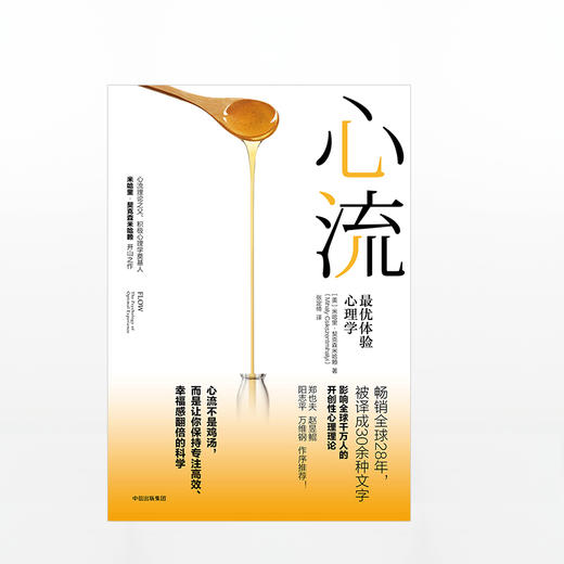 心流 心流理论之父 米哈里·契克森米哈赖作品 商品图1