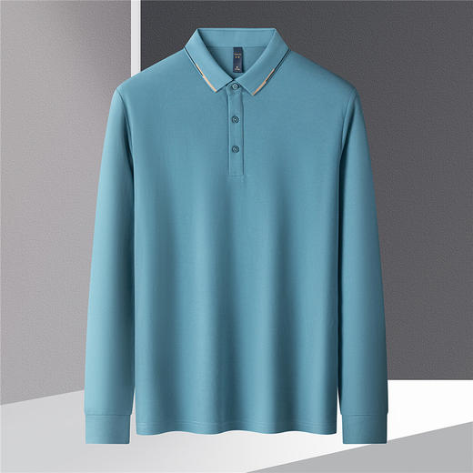 【提花领】罗蒙春秋男士仿丝光polo衫男长袖t恤男商务男士polo衫长袖 商品图3