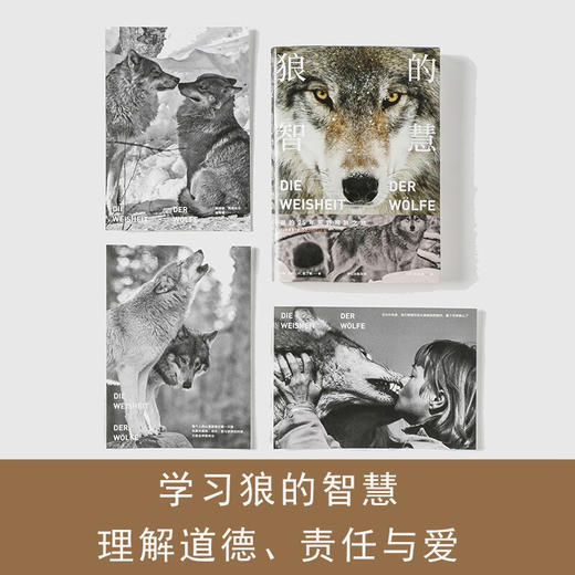 狼的智慧 我的25年荒野观狼之旅 （德）埃莉·H·拉丁格 著 商品图3