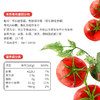 禾然有机番茄沙司330g低钠0脂肪无隐形添加 商品缩略图5