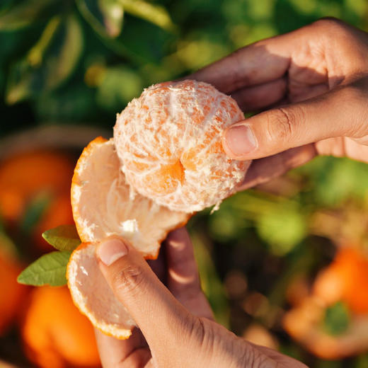 雲端•甜沃柑，一口爆汁，清香扑鼻、果肉细腻化渣 商品图1