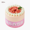 迷你多肉芭乐蛋糕，可选4英寸 商品缩略图1