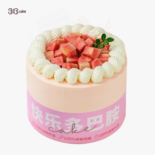 迷你多肉芭乐蛋糕，可选4英寸 商品图1