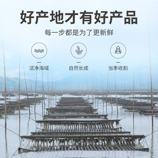 方家铺子 圆饼紫菜100g/袋装 商品图6