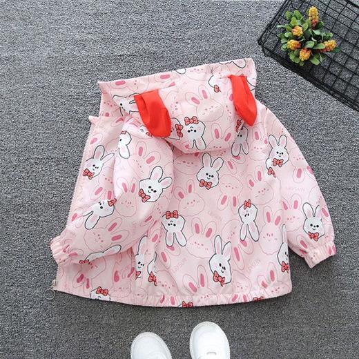 女童冲锋衣秋装2024新款儿童外套春秋款女宝宝上衣连帽洋气外衣 商品图0