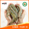 俏虾客有机带头生虾 规格21/25 克重400g/盒 商品缩略图2