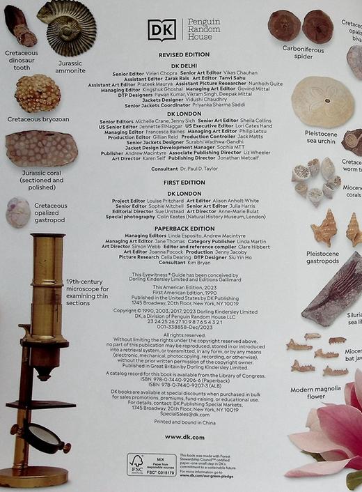 【中商原版】Eyewitness系列 化石百科 Eyewitness Fossil DK Eyewitness 英文原版 DK 科学百科 自然科学 化石 商品图8