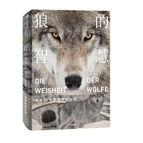 狼的智慧 我的25年荒野观狼之旅 （德）埃莉·H·拉丁格 著 商品图2