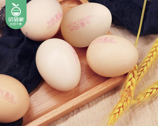 叼选五谷杂粮鸡蛋/2盒（单盒30枚，共约1.35kg）生产日期：12月16日左右 商品图3