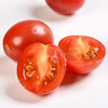 【果蔬精选】山东千禧圣女果 生态种植 自然成熟 清甜多汁 番茄味浓 富含维生素 商品缩略图3