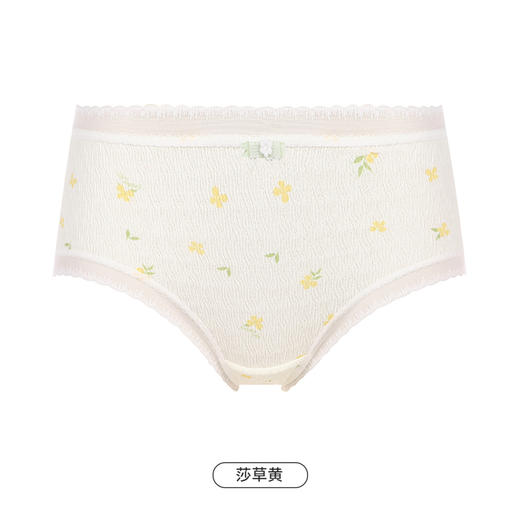 都市丽人基础木代尔系列纤柔绵内裤女锦泳女士内裤低腰平角内裤LK43D6 商品图12