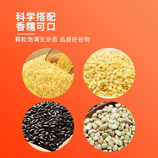 【三米荞麦粥】500g食材包小米糙米黑米甜荞麦\新鲜纯正五谷杂粮米 商品图1