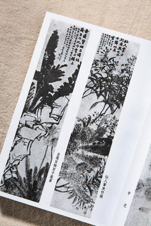 【绝版好书】赵之谦书画集 商品图5