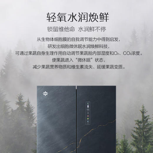 GREE格力 晶弘冰箱 BCD-456WPSG/青墨岩 十字风冷变频超冻（-38℃） 商品图1