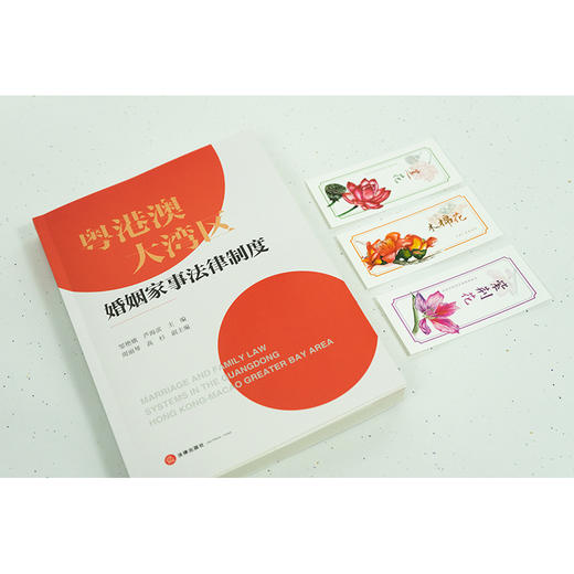 粤港澳大湾区婚姻家事法律制度 邹艳娥 芦海滨主编 周丽琴 高杉副主编 法律出版社 商品图4