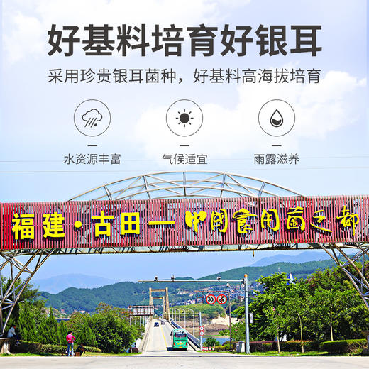 方家铺子 小银耳100g/袋装 商品图8