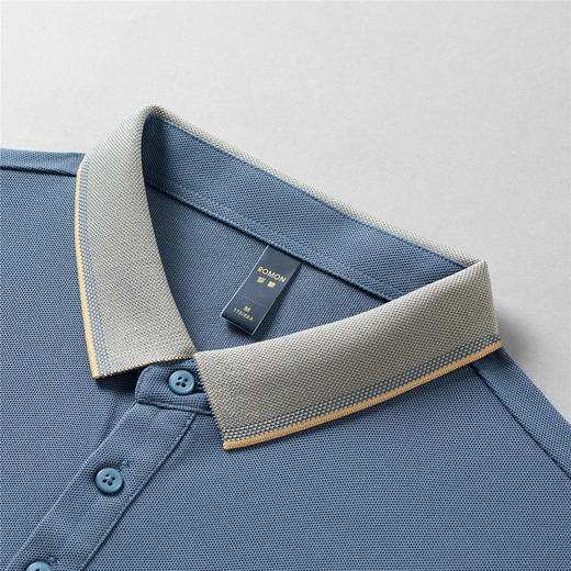 【撞色领】罗蒙春秋男士仿丝光polo衫男长袖t恤男商务男士polo衫长袖 商品图7