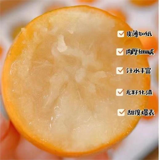 【AN】大理宾川脆甜小金桔 商品图0