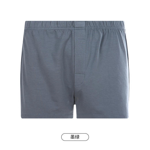 都市丽人都市锋尚简约基础内裤男40S棉粘男士内裤平角内裤FK48A1 商品图9