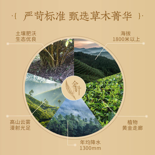 云南滇红凤牌金针礼盒156g独立包装39包 商品图4