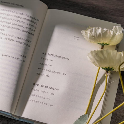 与孤独对抗 李煜玮 著 心理学 商品图4