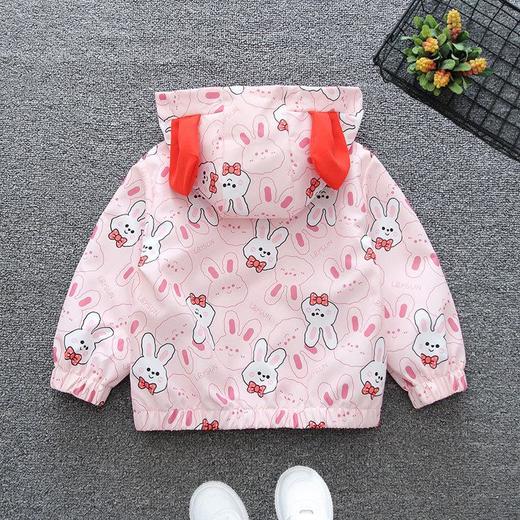 女童冲锋衣秋装2024新款儿童外套春秋款女宝宝上衣连帽洋气外衣 商品图2