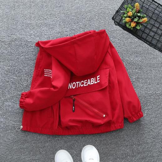 童装男童春秋款工装风衣外套男孩春季冲锋上衣女童洋气网红潮4岁9 商品图0