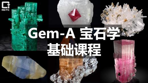Gem-A宝石学基础课程（FGA） 商品图0