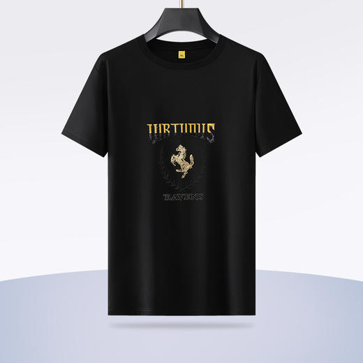 【Q】【桑蚕丝】【莱赛尔】【新款DG】大依优型大码短袖T恤圆领胸前印花加肥加大男士大号弹力透气舒适半袖夏装 商品图1