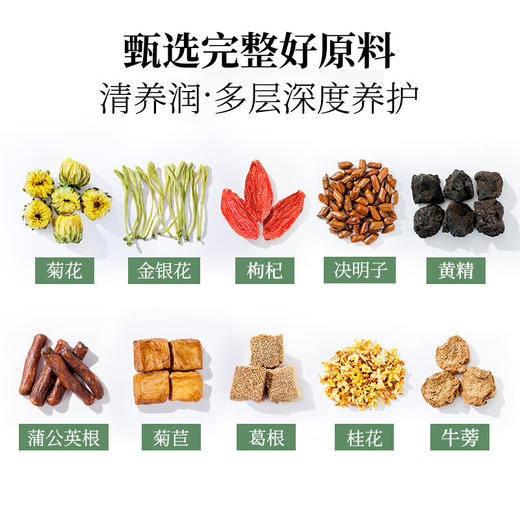 神农金康菊花决明子菊苣茶 关爱自己的小心肝 熬夜喝酒常备茶 商品图4