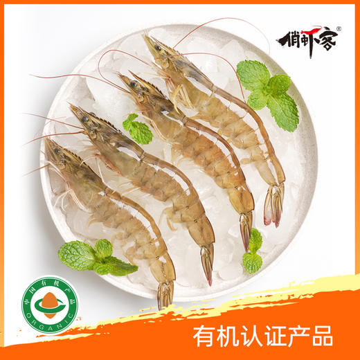 俏虾客有机带头生虾 规格21/25 克重400g/盒 商品图3