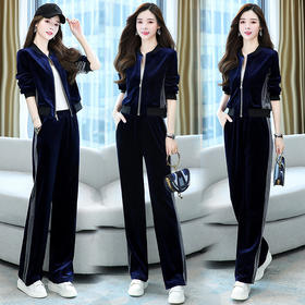 金丝绒运动套装女春秋2024新款休闲时尚高端女人味宽松大码两件套HR-YLFS8776