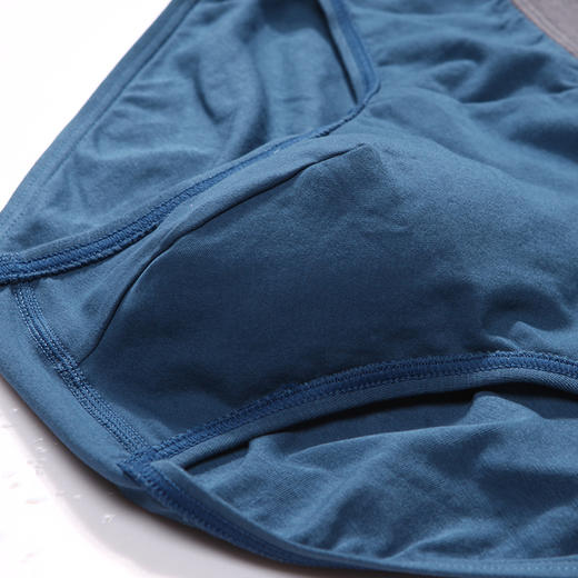 都市丽人都市锋尚简约基础内裤男干爽棉男士内裤三角内裤FK41A1 商品图7