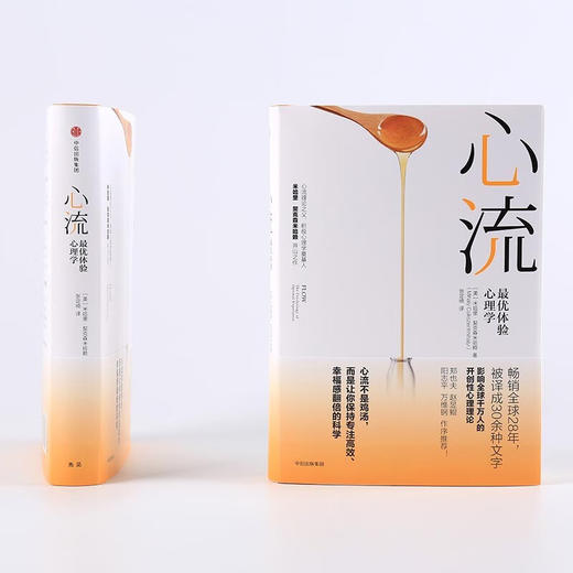 心流 心流理论之父 米哈里·契克森米哈赖作品 商品图2