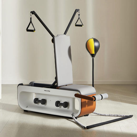 MUXMA沐小马活力运动健身凳椅哑铃卧推家用多功能凳 商品图3