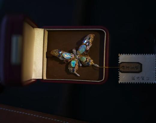 世界是彩虹色的｜童话般的海洋宝蝶 商品图4