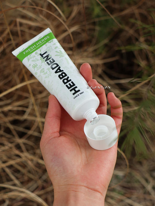 捷克Herbadent皓柏丹草本牙膏 护牙齿护牙龈清洁口腔75g *3支装 日期27年4月 商品图11