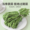 方家铺子 贡菜干150g/袋装 商品缩略图8