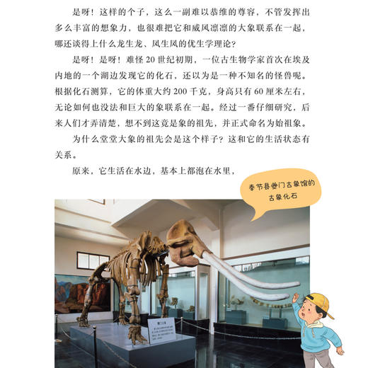 《刘兴诗爷爷讲地球》（全10册） 商品图4