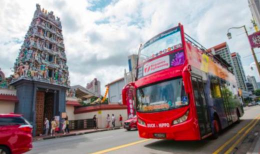 【暑假新加坡】人文教育与自然探秘单飞研学营 7 天|9~15岁单飞 商品图2