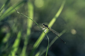 惊蛰后，怎么做最养生？牢记这几点