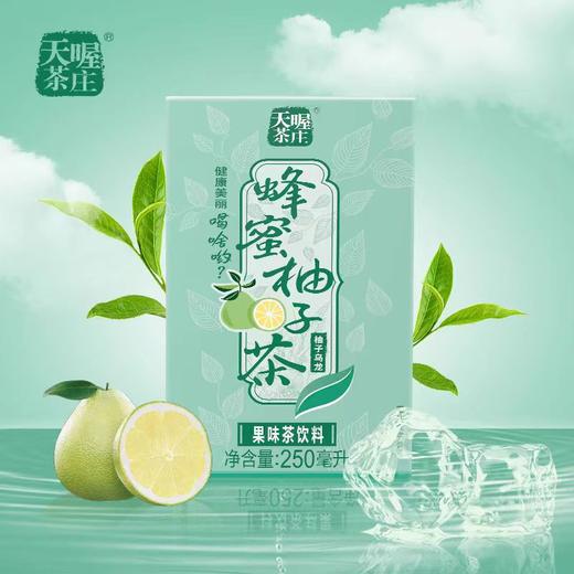 天喔蜂蜜柚子乌龙茶250ml*16盒   整箱批特价 商品图1