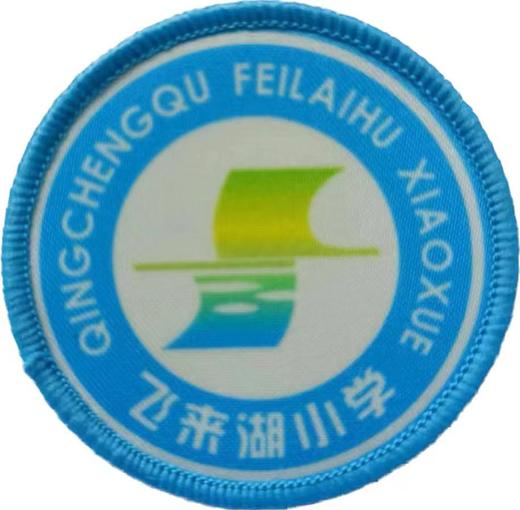 清城区飞来湖小学（夏上衣+长裤） 商品图0