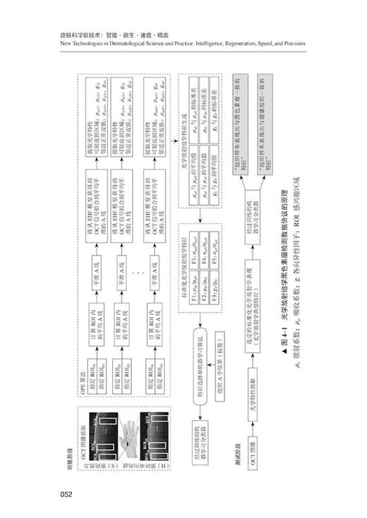 皮肤科学新技术 智能新生速度精准 吴文育主译 多钟新近皮肤科学领域技术实践应用临床指南  中国科学技术出版社9787523600061 商品图4