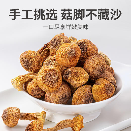 方家铺子 姬松茸150g/袋装 商品图9